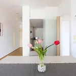 Primopiano - Carlone * Milano